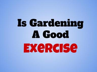 is gardening
